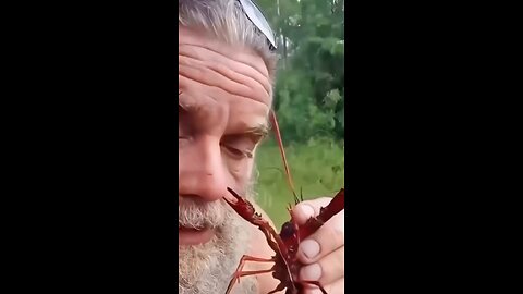Try Not to Laugh part 1