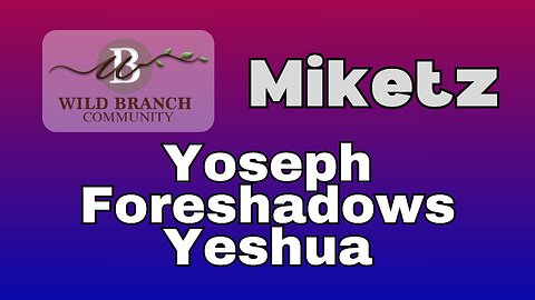Miketz - Joseph's living prophecy of Yeshua