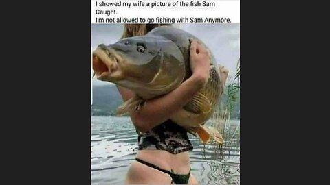 Memes That Will 99.0239% Make You Laugh. (e463)