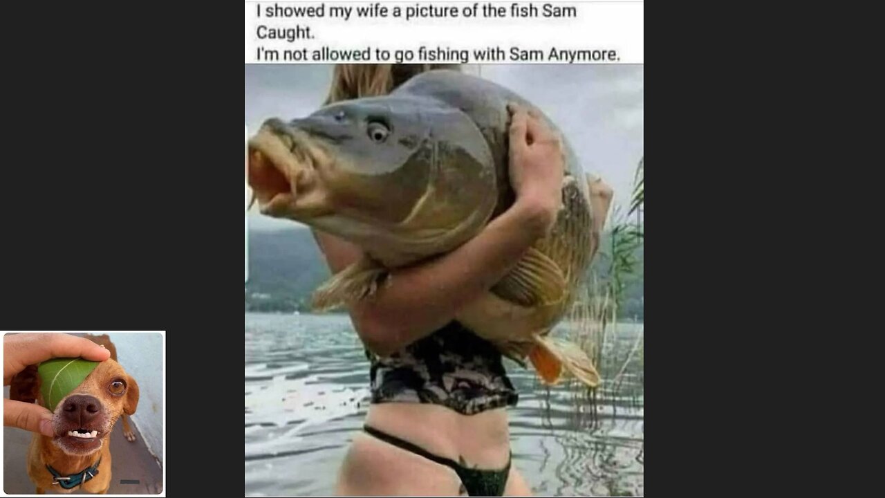 Memes That Will 99.0239% Make You Laugh. (e463)