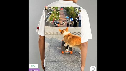 Skate master