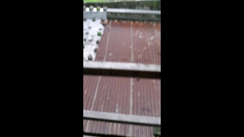 Rainy day