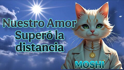 " NUESTRO AMOR SUPERO LA DISTANCIA MOSHI MOSHI " BY $GTOM TOKEN PROJECT,