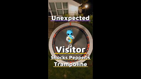 You Won’t Believe Who Landed on Pepper’s Trampoline Last Night