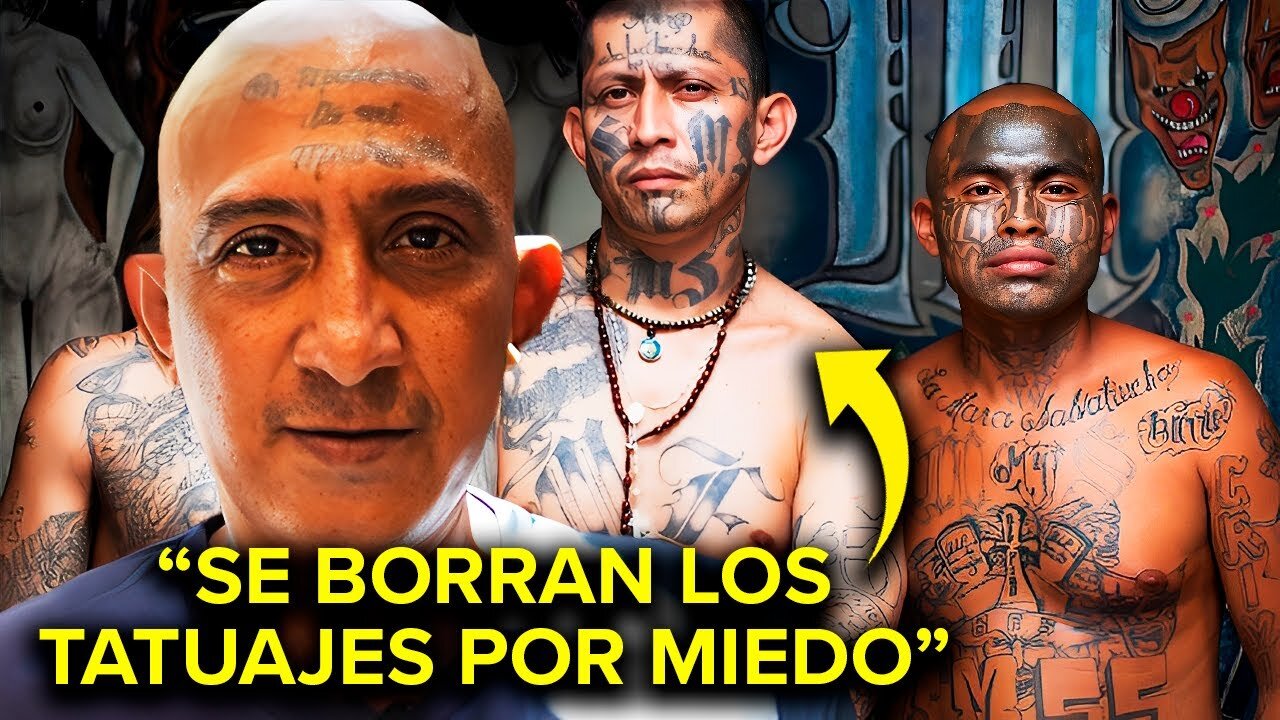 El Viejo Lin REVELA Secretos INQUIETANTES de los PANDILLEROS de El CECOT