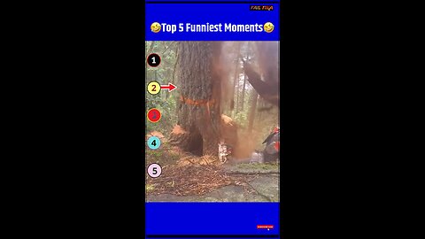 Top 3 Fails 2025