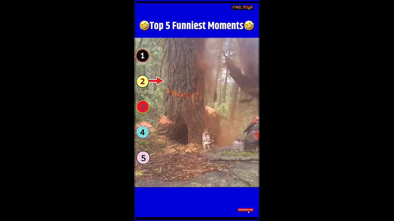 Top 3 Fails 2025