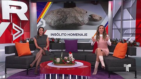 I Dont Know The Color But I Can Identify Calf Highs When I See Em