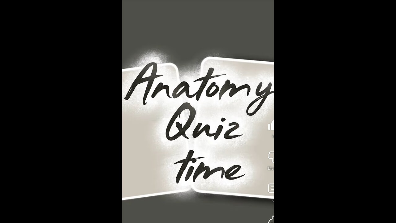 anatomy Quiz