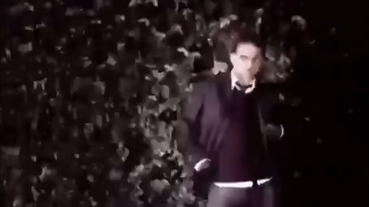 Chaupiquelopecio