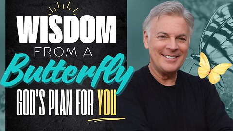 What the Butterfly Teaches Us About God’s Plan for Your Life