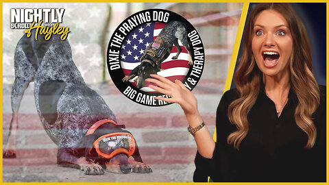 Dixie The Praying Dog Honors Our Vets - Nightly Scroll w/ Hayley Caronia (Ep.53) - 05/21/2025