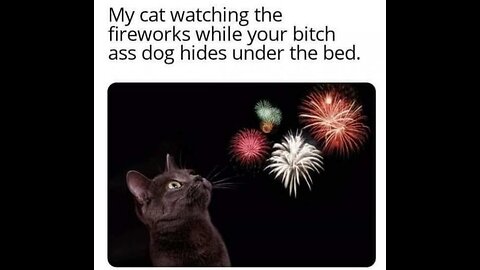 Happy 4th
