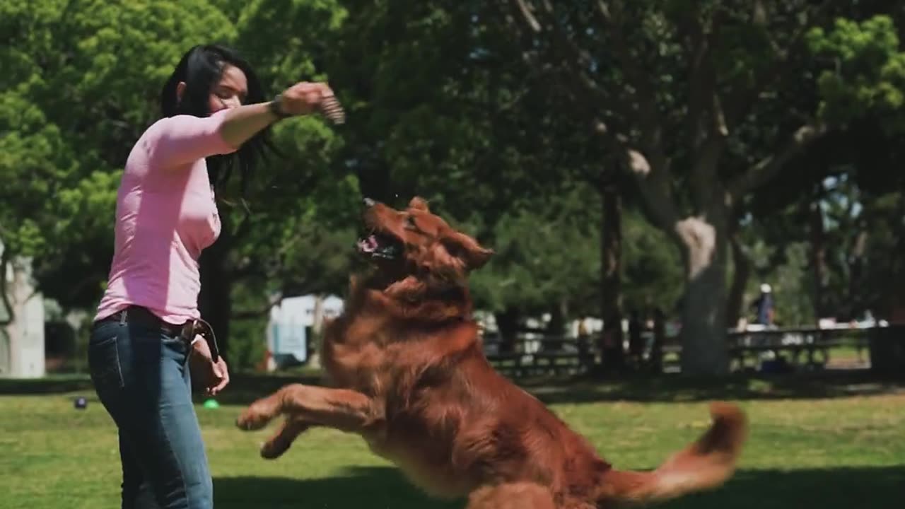 eash training - quick and easy!