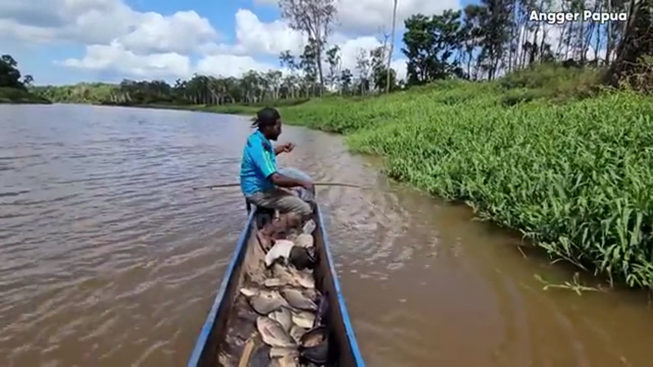 RECORD!! It Didn’t Take Long, 65 Tilapia Caught with a Bow!