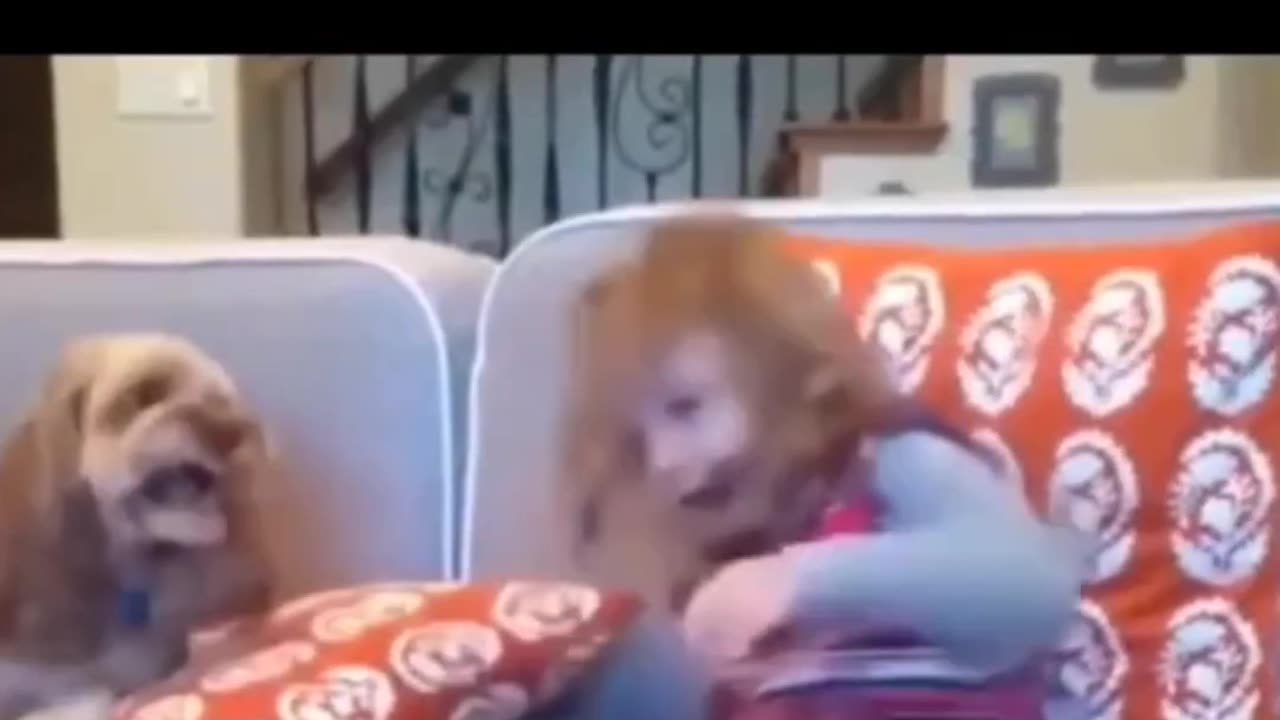 🐱✨ Adorable Cats | Laugh & Melt Your Heart with Funny Clips!