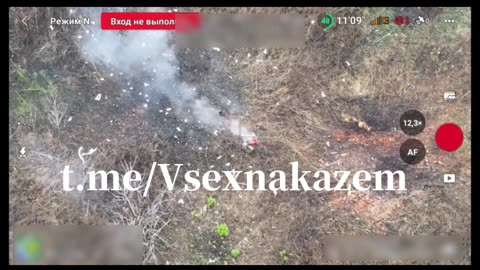 Делай так каждый день, и спина болеть не будет 😉