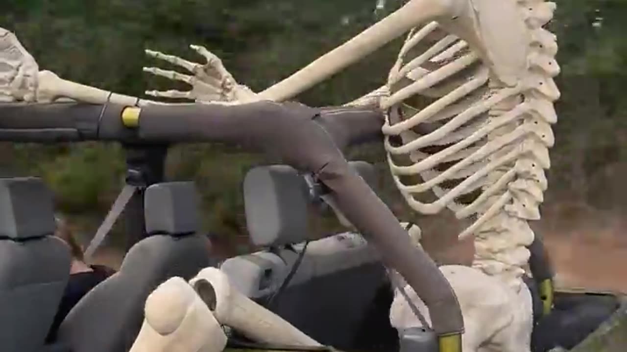 😮🚗 A Giant Skeleton Going for a Ride in a Jeep! | FeedMyCuriosity