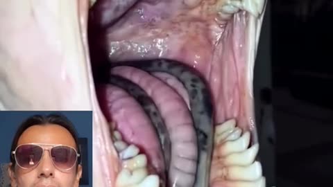 REPTILIANA , CRIATURA O UNA ATERRADORA I.A