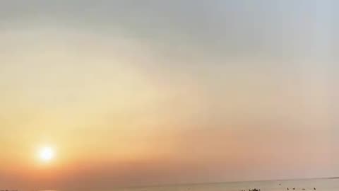 "Gourmet on the Shore: Dining by the Beach"