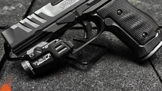 Blaster Builder: Walther PDP SF | RMR HD | TLR-7X. Perfection. #WestPalmBeach #Pistols #EDC