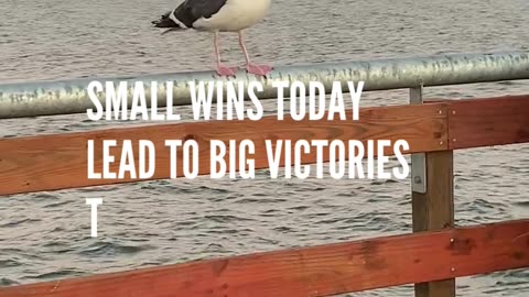 Small Wins = BIG Success!