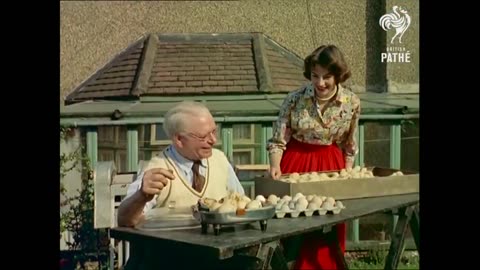 An electrical engineer George Church shows the versatility of his electrical frying pan by using it to hatch eggs (1958)