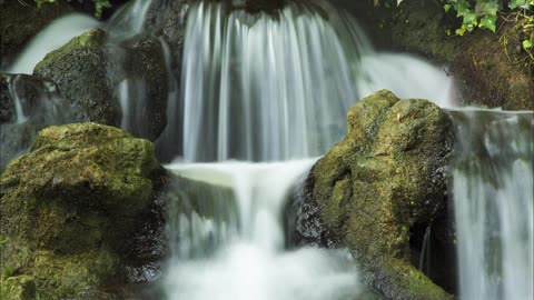 Riding the Divine Stream of Healing