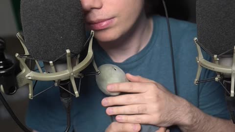 Sammy The Kissing Turtle Loves You ASMR