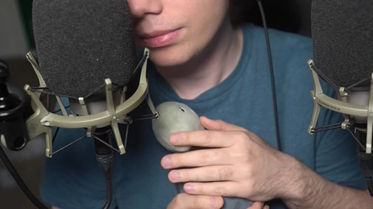 Sammy The Kissing Turtle Loves You ASMR