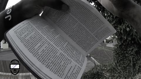 [Part Three] Operation Breach The Piece [Police Called]