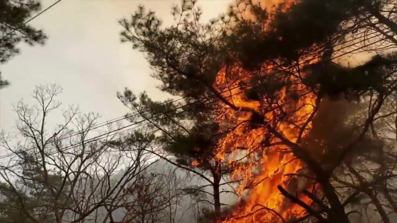At least 26 killed as worst-ever wildfire ravages #SouthKorea