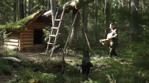 How to make shelter in Wild Forest while all alone & limited resources