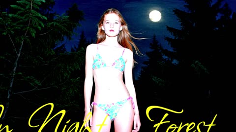 POP MUSIC. Song In the Night Forest.