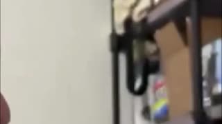 Content Creation - Get Your Ideas Out There!