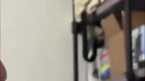 Content Creation - Get Your Ideas Out There!