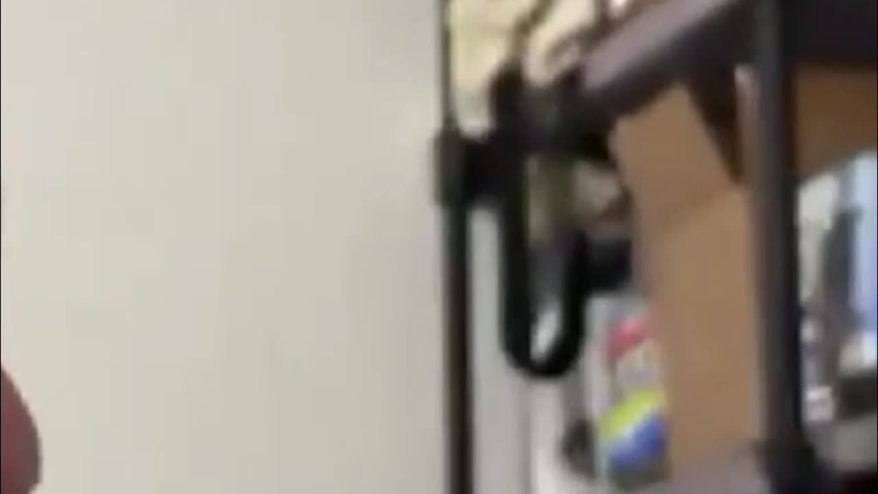 Content Creation - Get Your Ideas Out There!