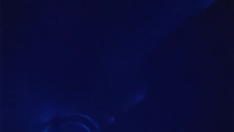 WAV - Like About Activation