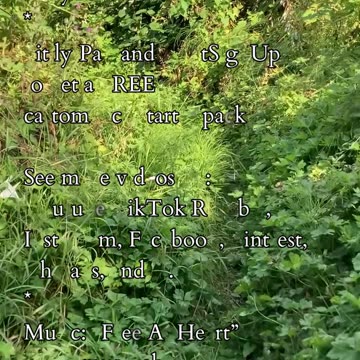 Trial and Purpose | Path and Tarot Reading