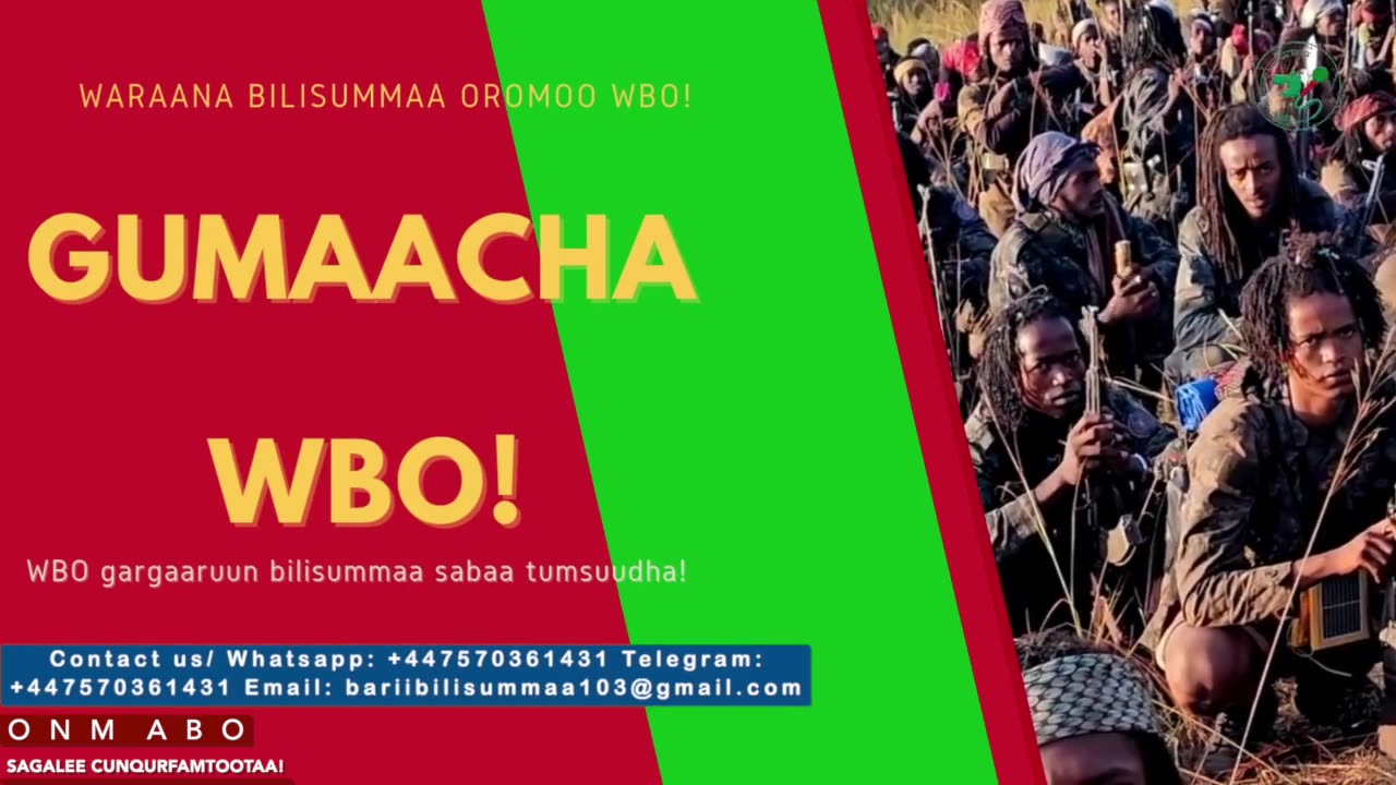 Gabaasa Gumaacha ONM-ABO Adoolessa 20-2025 itti dhiyaadhaa!