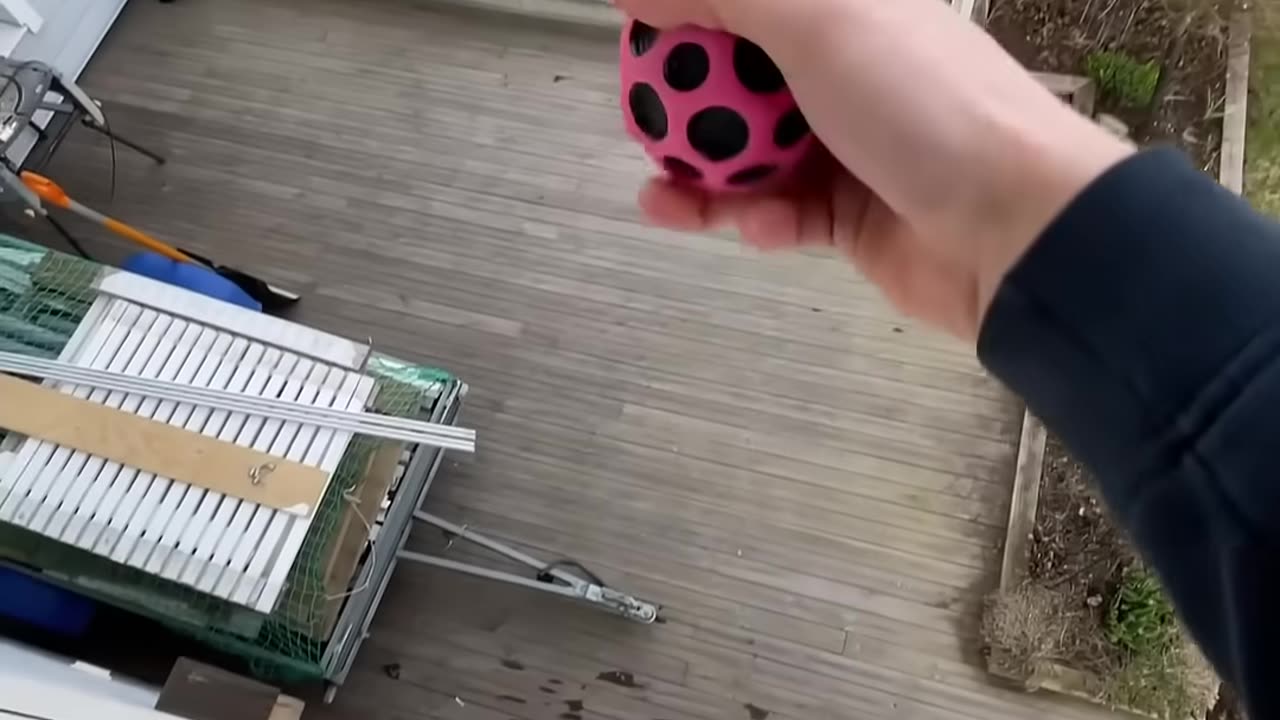 Bounciest ball in the world