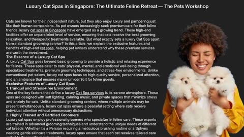 Luxury Cat Spas in Singapore: The Ultimate Feline Retreat — The Pets Workshop