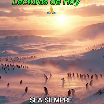 🙏✨ Oración Inspirada en las Lecturas de Hoy ✨🙏