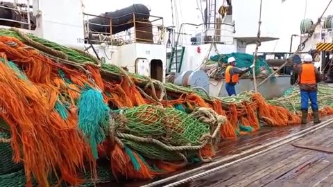 Unbelievable Mackerel Catch! European Trawlers Pull in Mountains of Fish with Massive Nets