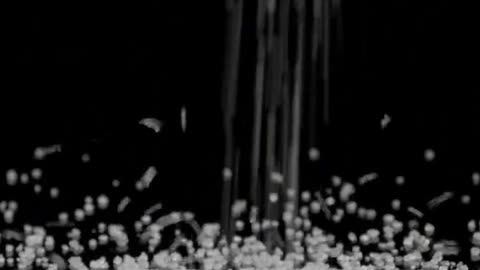 Seed oil inflammation