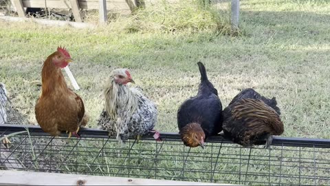 Proverbi 29:25 #Gesu #Dio #italiano