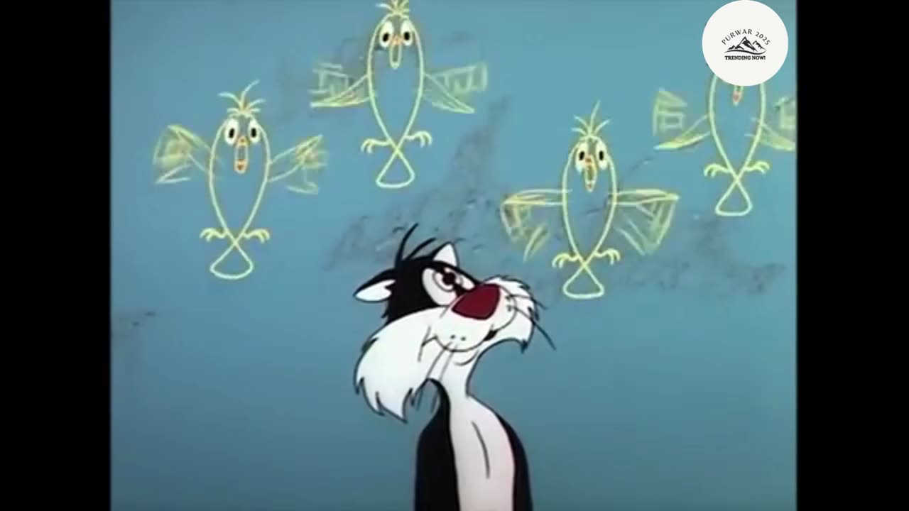 Classic Pussy Cat Antics: Nonstop Chuckles! Part - 4