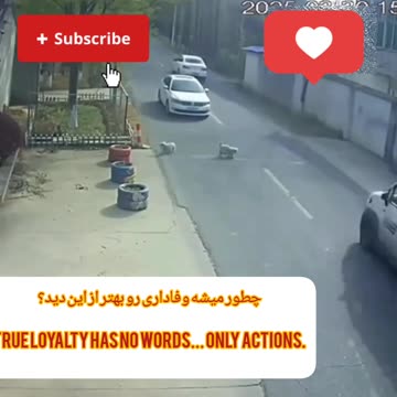 وفاداری واقعی True Loyalty