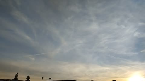 Phoenix AZ Airline Mafias in 2025 - THUGGIETAH UTAH -