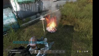 DayZ PVE